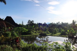 Read more about the article Canggu und Ubud